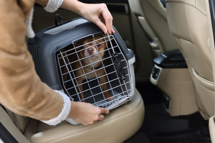 Elite Animal Transport Our Mission